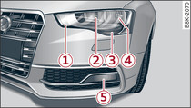 Halogen headlights: Overview of left side of vehicle